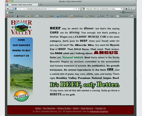 Complete website creation